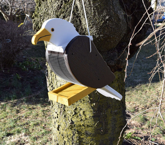 bald eagle bird feeder