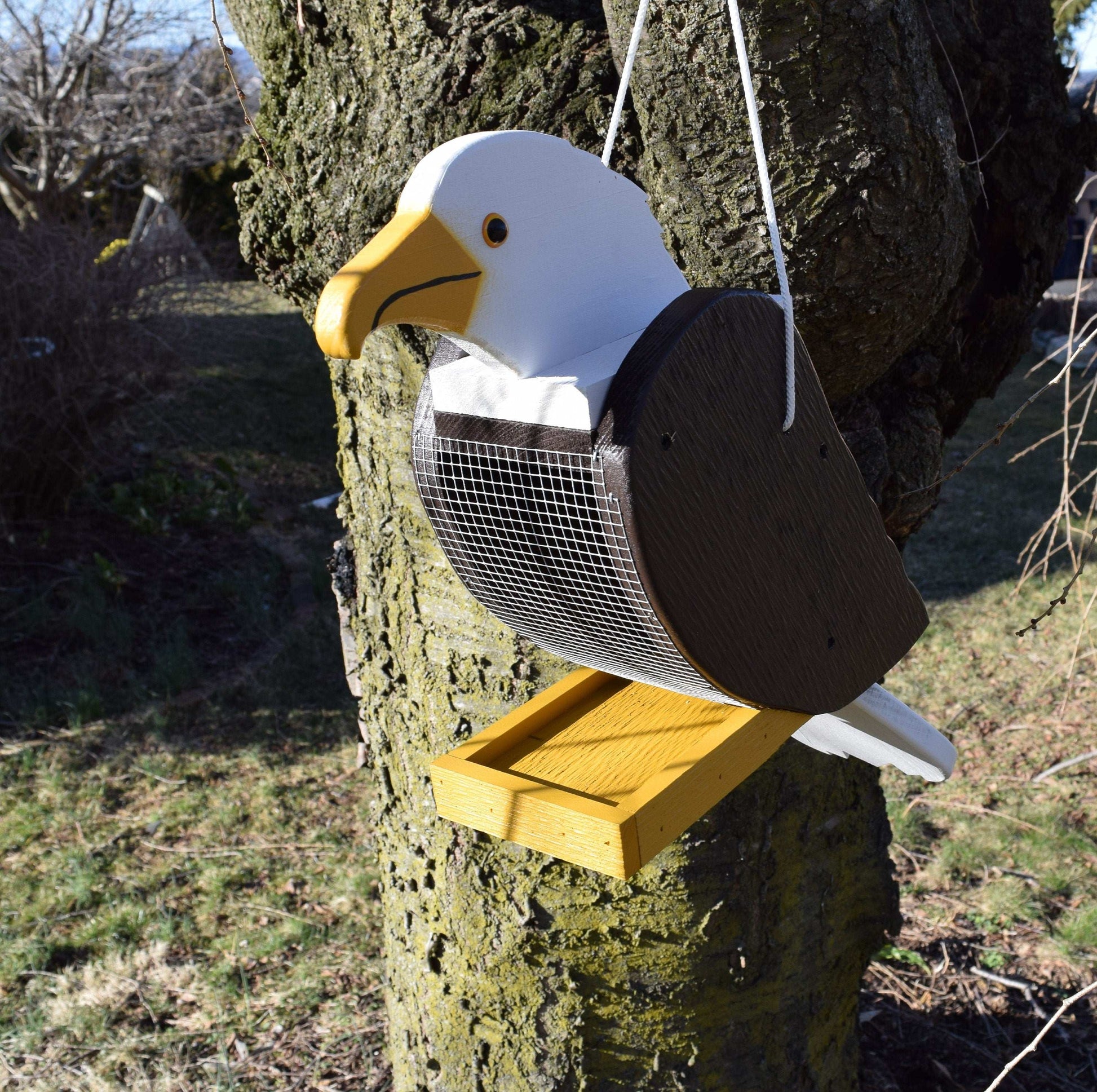 bald eagle hanging bird feeder