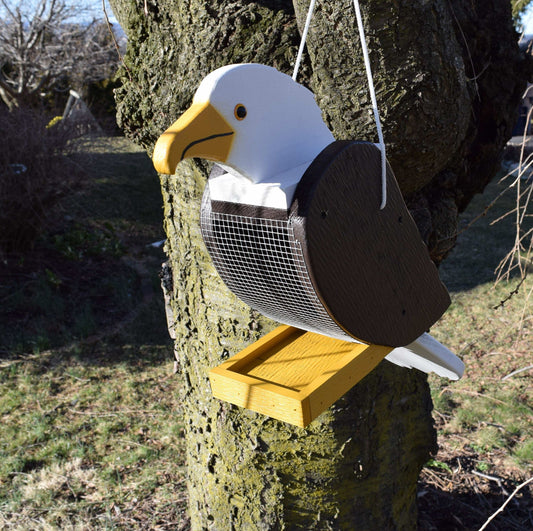 bald eagle hanging bird feeder