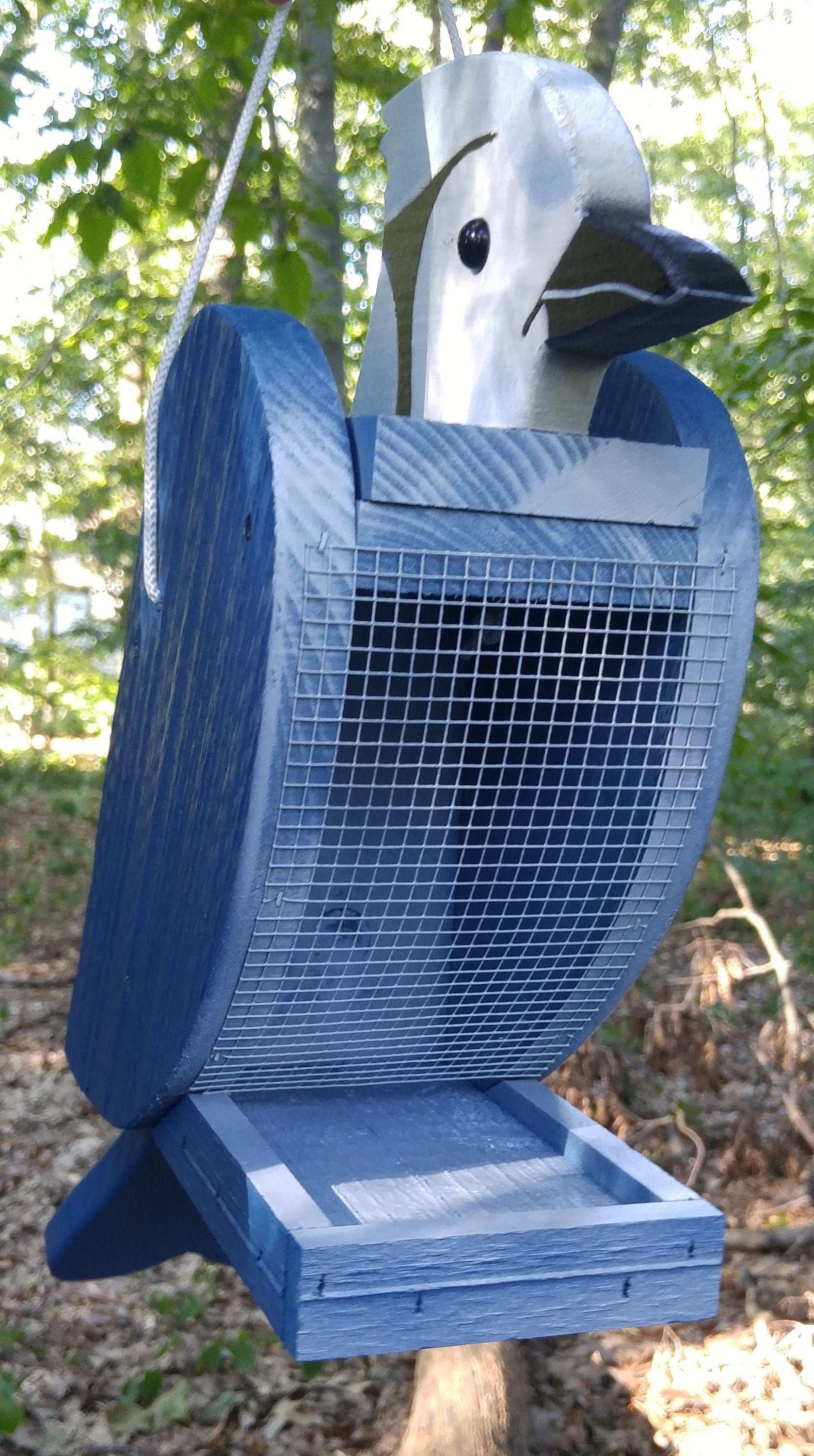 blue jay hanging bird feeder