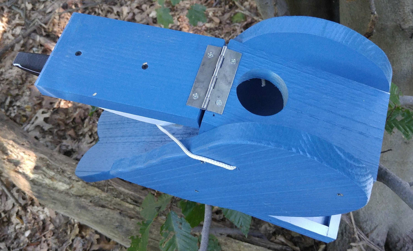 bottom opening of blue jay bird feeder