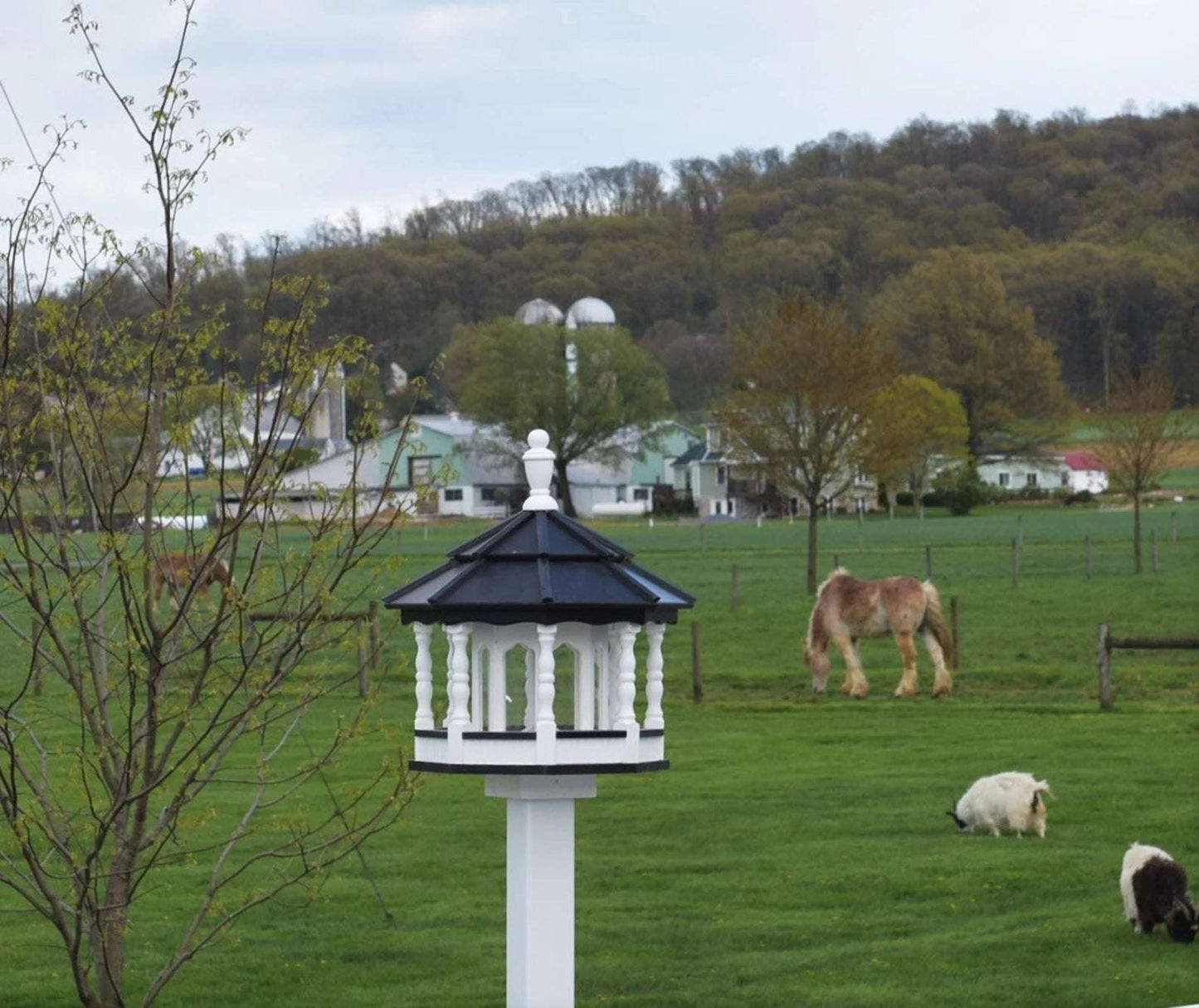 deluxe large poly spindle bird feeder white and black