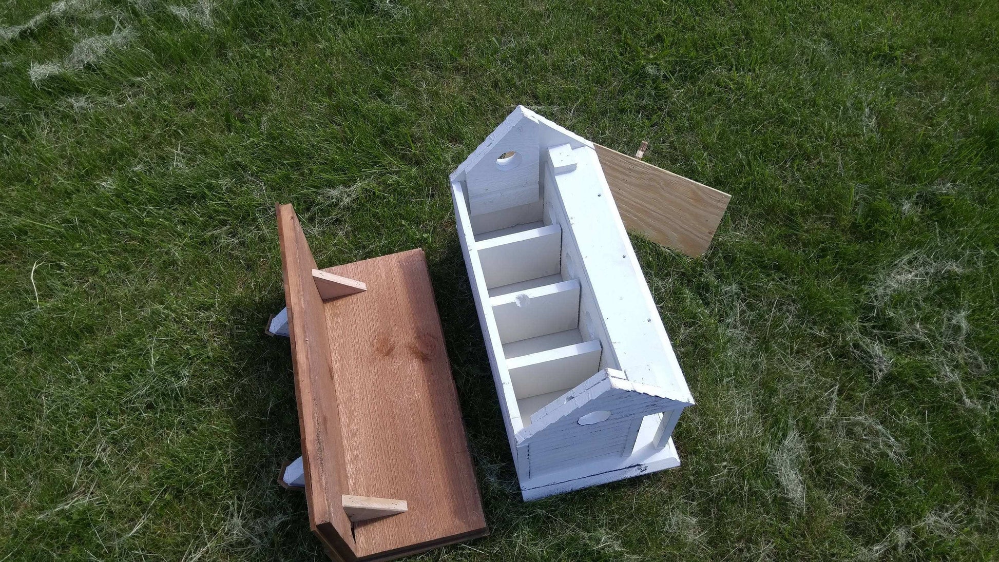 inside view of plantation birdhouse