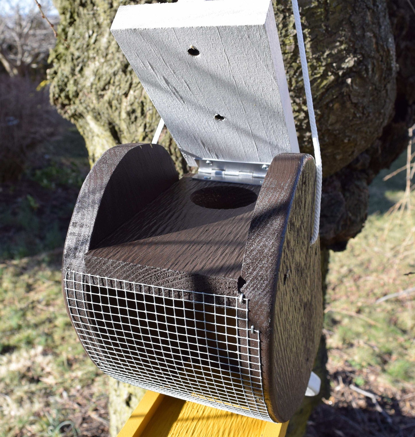 opening for bald eagle hanging bird feeder