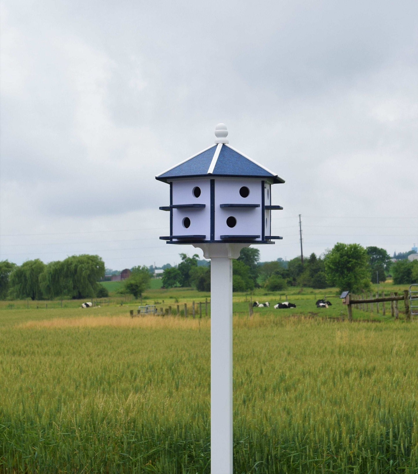 white and blue martin poly birdhouse