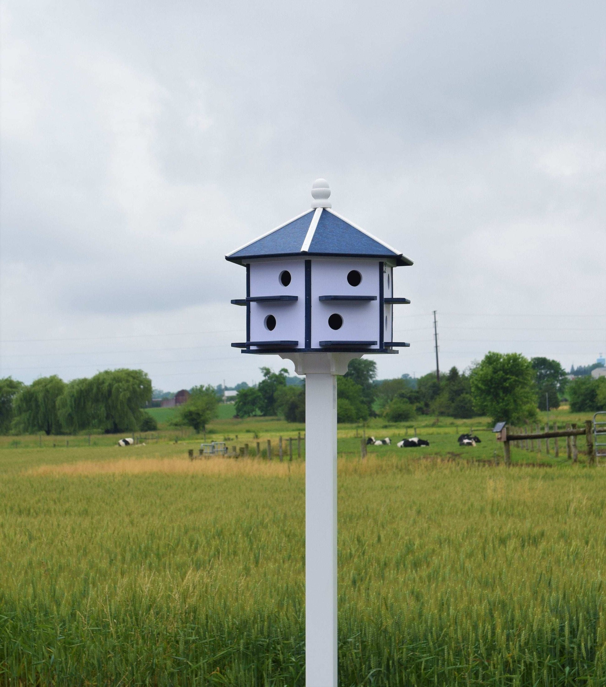 white and blue martin poly birdhouse