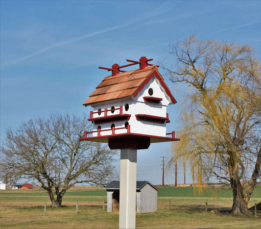 white and red martin birdhouse