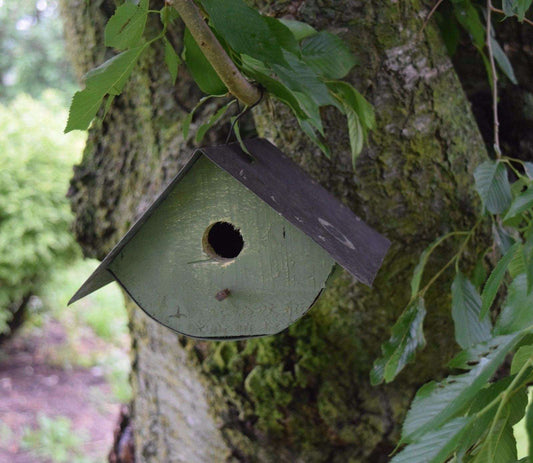 wren birdhouse new green