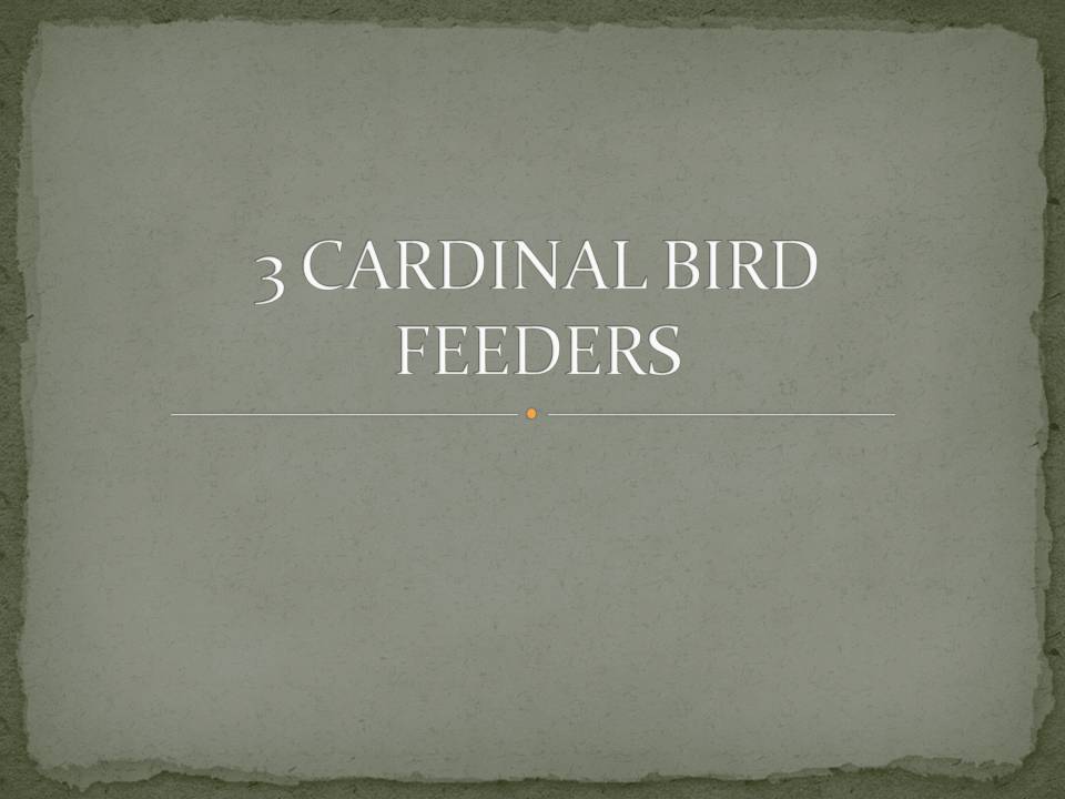 Custom listing:  CARDINAL Bird model 3 Bird feeders. Amish Handcrafted (Copy)