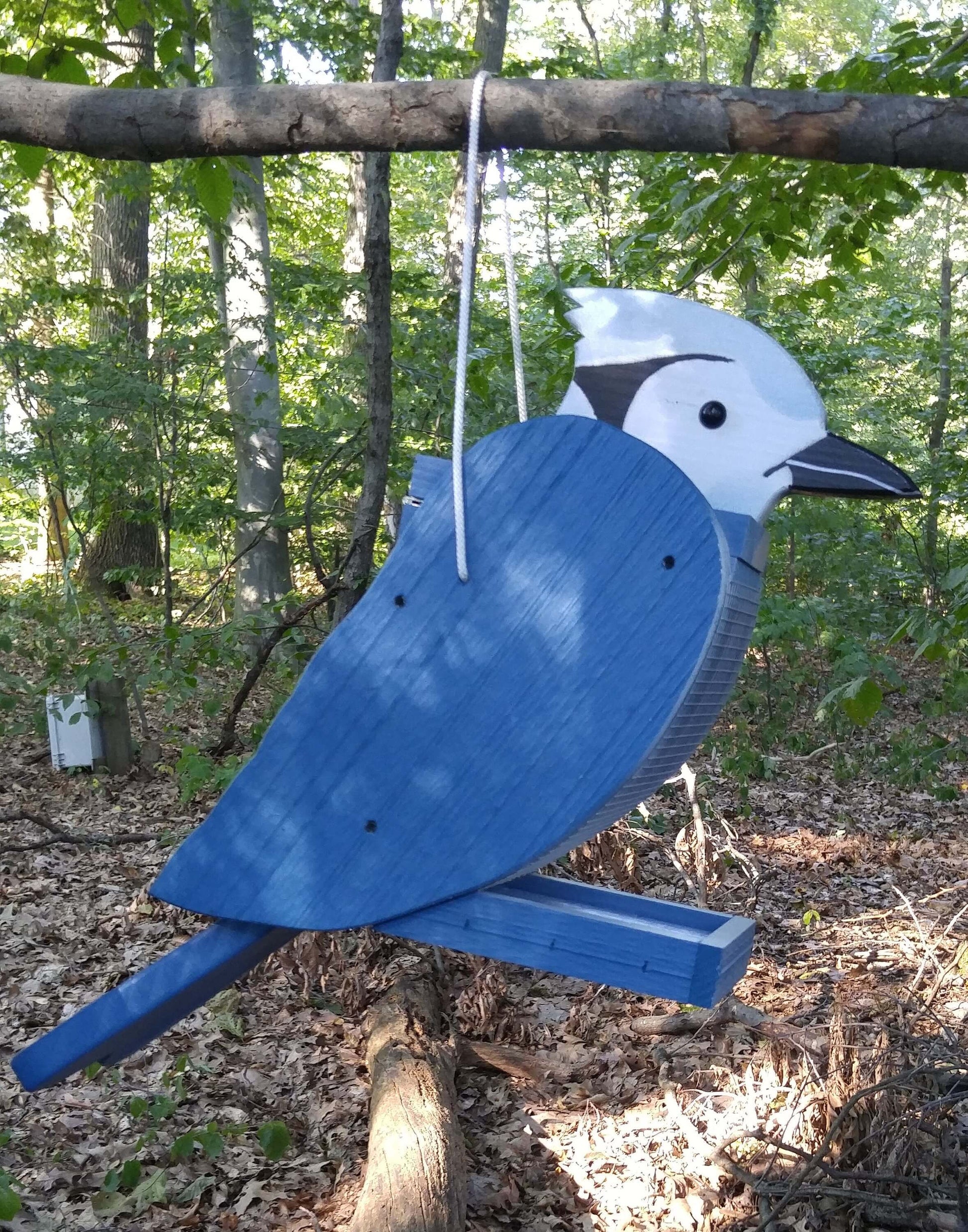 blue jay hanging bird feeder