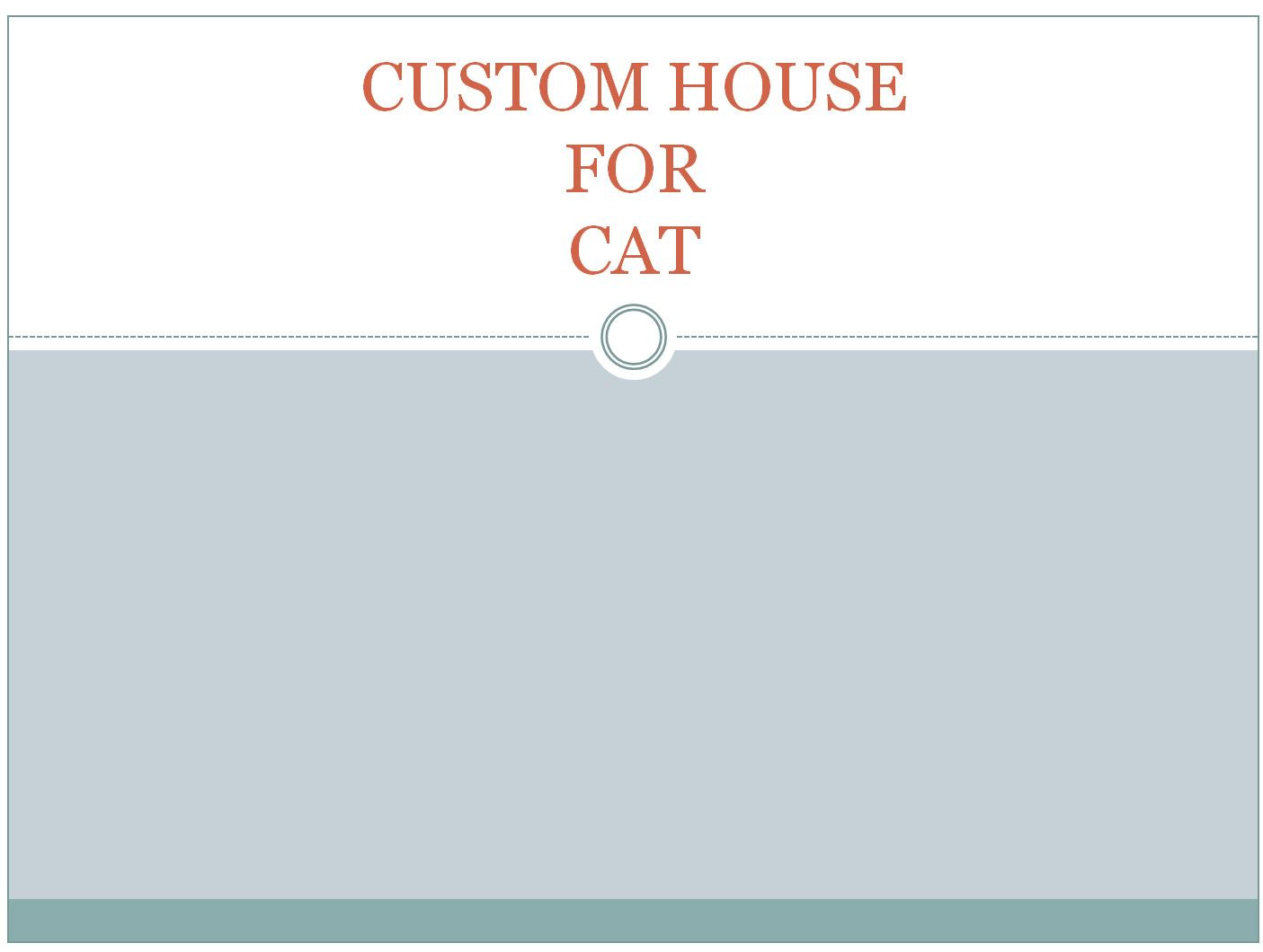 custom house for cat