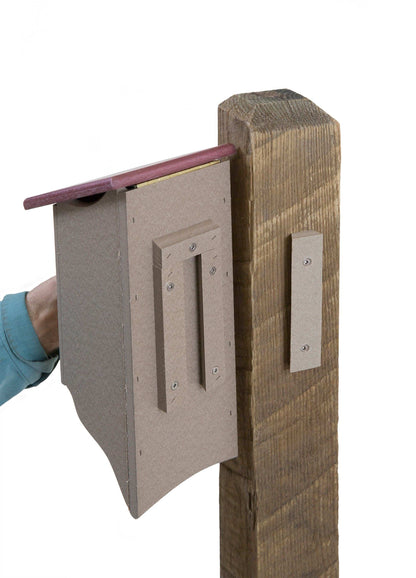instillation of bluebird house