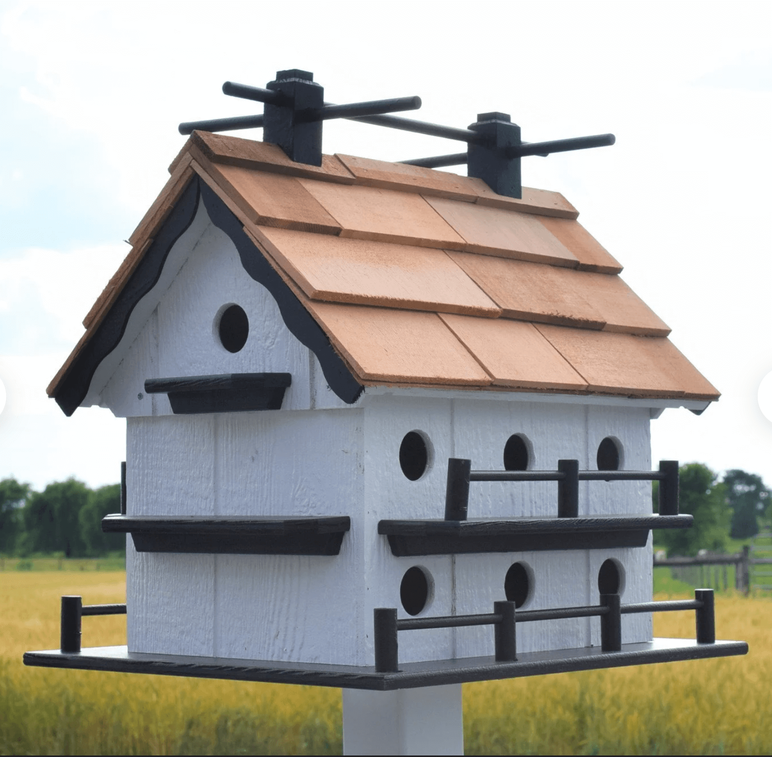 white and black martin birdhouse