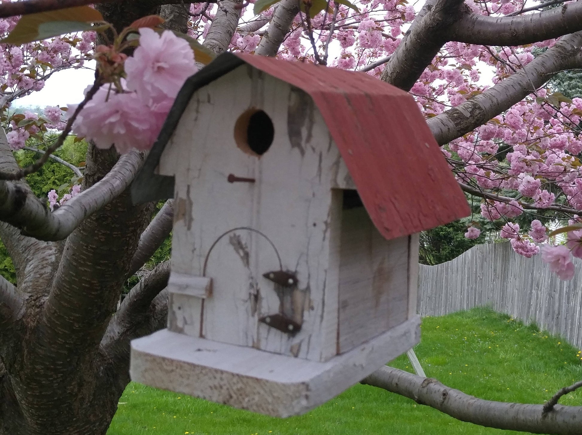 barn birdhouse