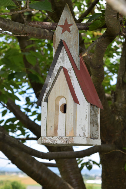 Church Wren Birdhouse