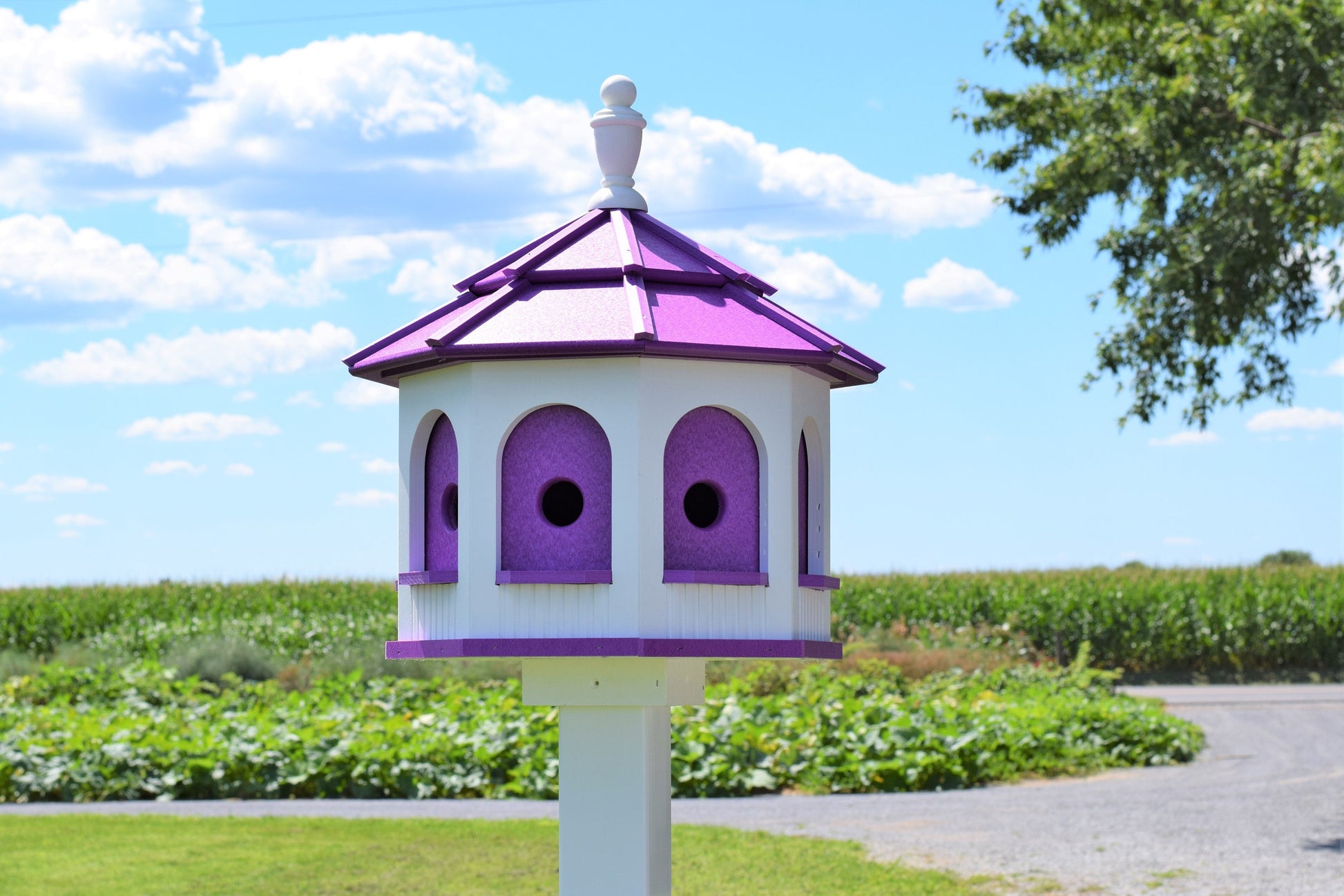 large poly bird house white with bright purple inner wall and roof