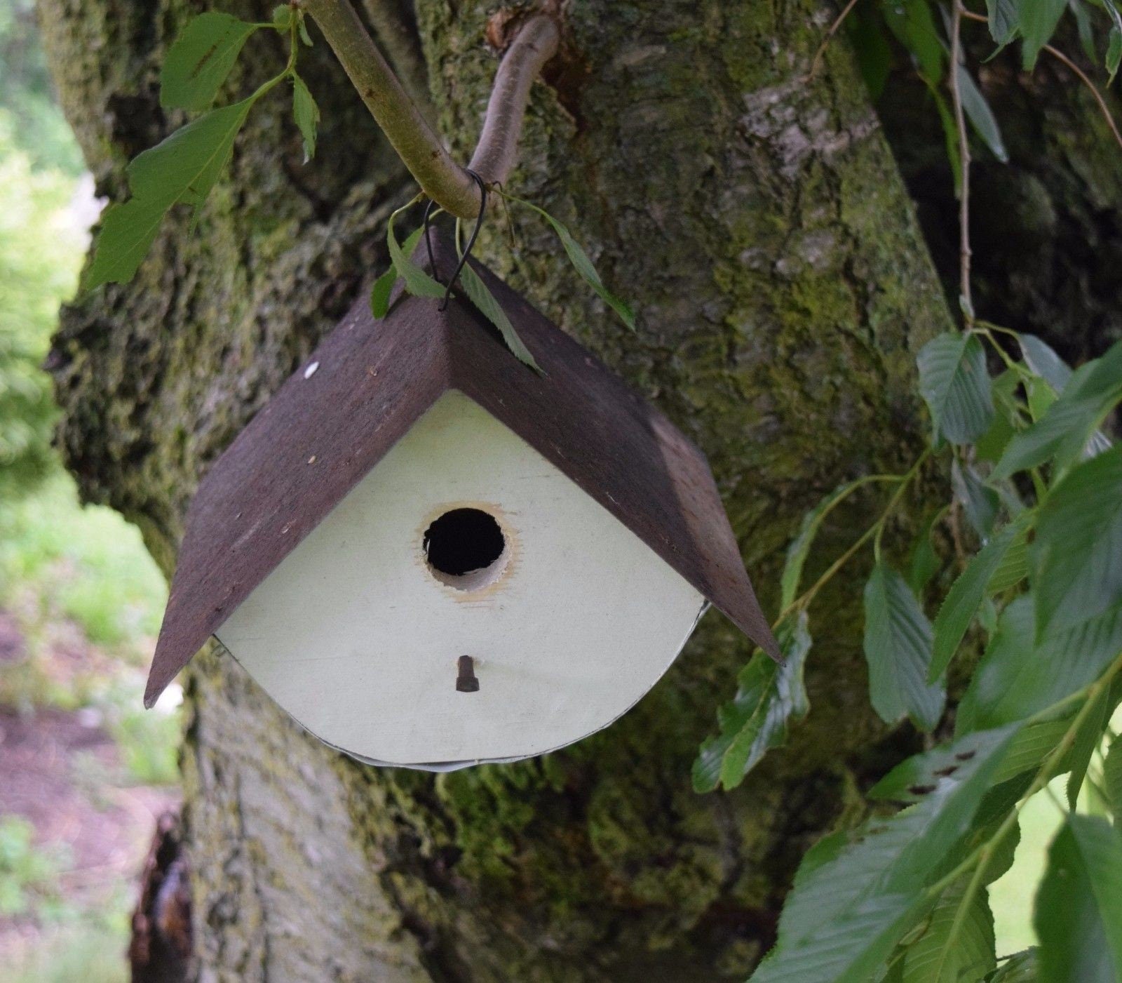 white wren birdhouse