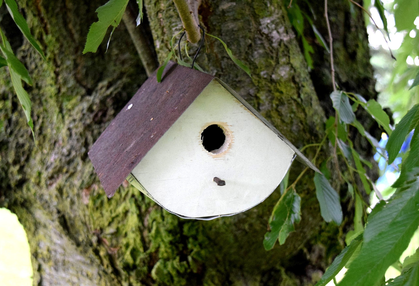 white wren birdhouse